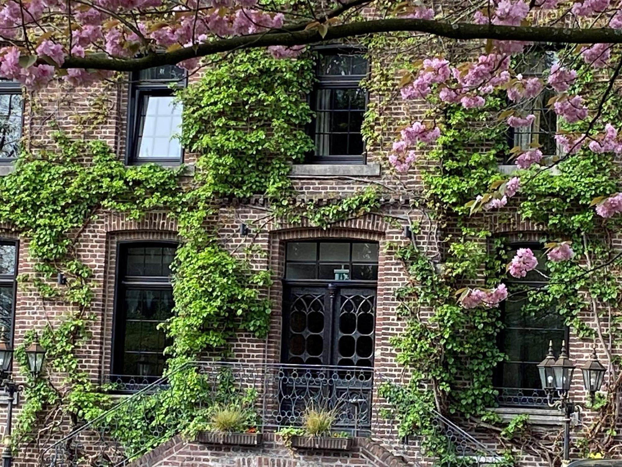 Burg Hotel&eventlocation Hotel